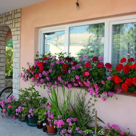 Appartement By The Sea Barbat, Rab - 5005 Barbat na Rabu