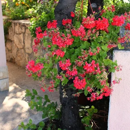 By The Sea Barbat, Rab - 5005 Апартаменты *
