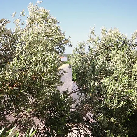 דירה By The Sea Barbat, Rab - 5005